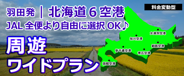 【往復共に北海道6空港JAL全便より自由に選べる周遊ワイドプラン】