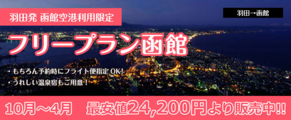 函館・湯の川温泉へ行く格安旅行-函館空港利用限定-