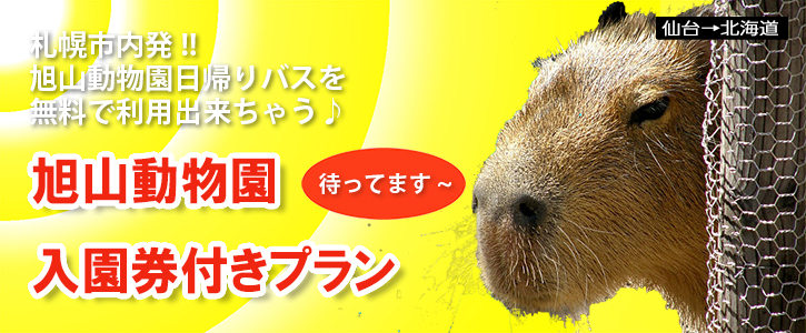 仙台発 JALで行く 札幌ツアー／旭山動物園 日帰りバスツアー付き！
