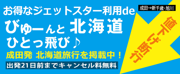 首都圏発 びゅーんと北海道ひとっ飛び！ 航空券付き フリープラン/車なし